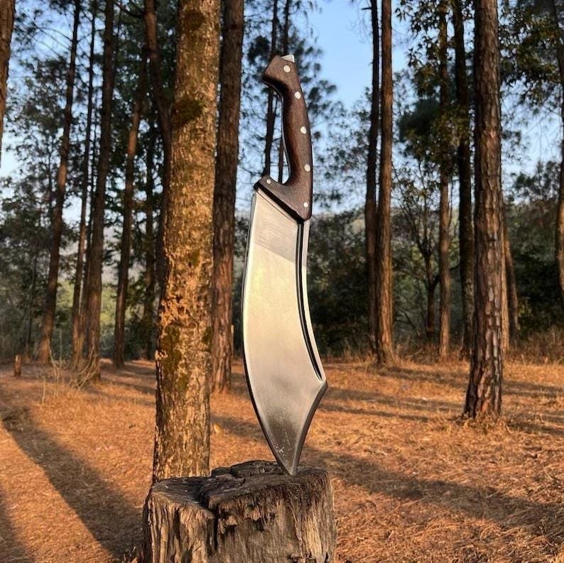 Hand-Forged J2 Steel Cleaver Knife: Rosewood Handle, Wooden Scabbard - Image 3