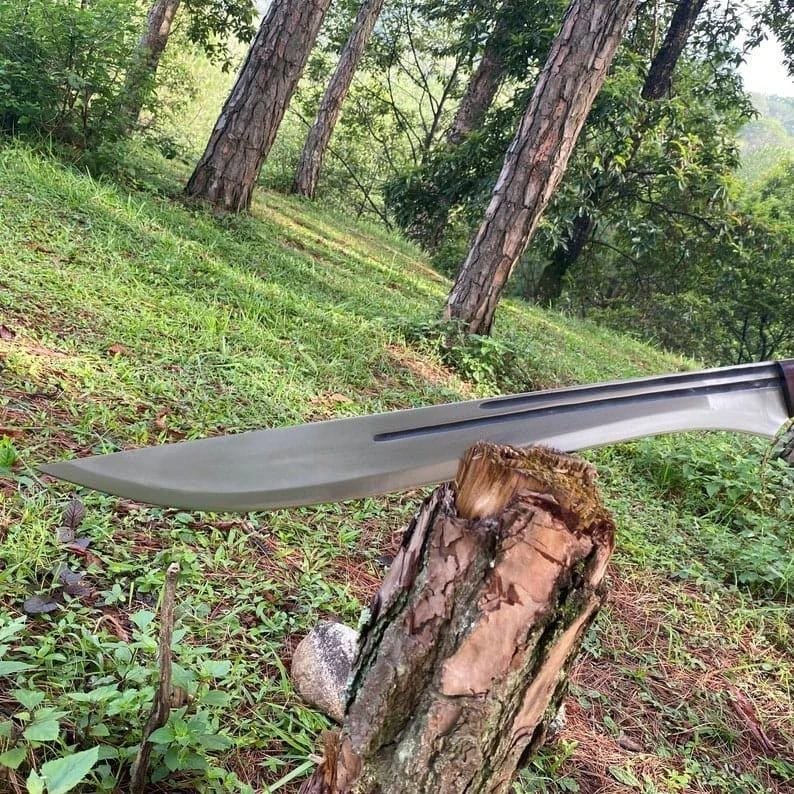 Hand-Forged Carbon Steel Sword: 26" Rosewood Handle, Collectible - Image 4